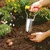 Wolf Garten Bulb Planter FH-N For Planting Seeds & Saplings 